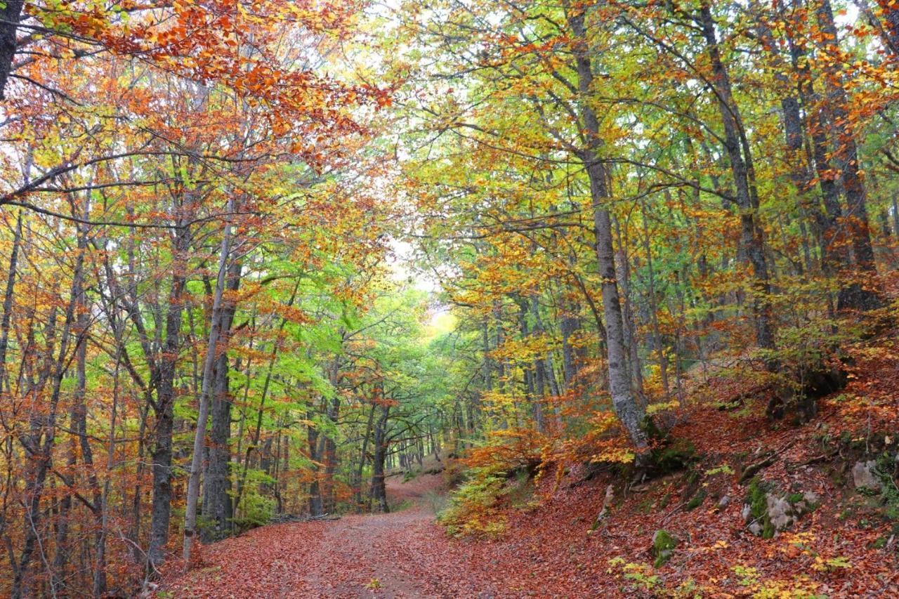 El Rincon De Golobar En Brañosera Kültér fotó